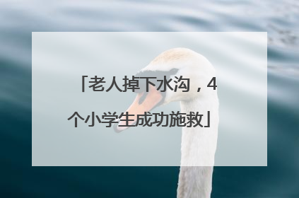 老人掉下水沟，4个小学生成功施救