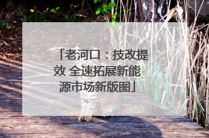老河口：技改提效 全速拓展新能源市场新版图