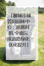 聊城市城管局园林中心：抢抓时机 全面完成道路绿化优化提升