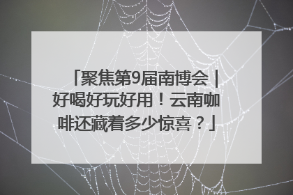 聚焦第9届南博会｜好喝好玩好用！云南咖啡还藏着多少惊喜？