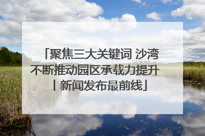 聚焦三大关键词 沙湾不断推动园区承载力提升丨新闻发布最前线