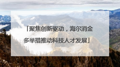 聚焦创新驱动，海尔消金多举措推动科技人才发展