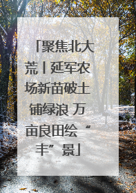 聚焦北大荒丨延军农场新苗破土铺绿浪 万亩良田绘“丰”景