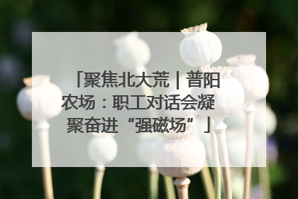 聚焦北大荒｜普阳农场：职工对话会凝聚奋进“强磁场”