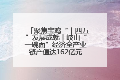 聚焦宝鸡“十四五”发展成就丨岐山“一碗面”经济全产业链产值达162亿元 入选全国典型县