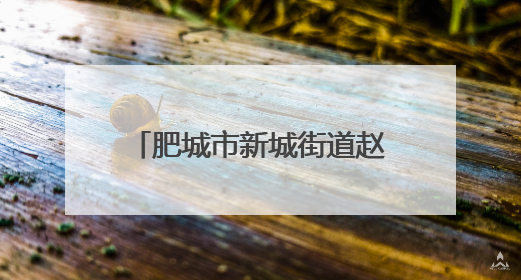 肥城市新城街道赵庄社区开展“安全生产 青年当先”安全生产月系列活动