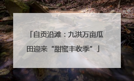 自贡沿滩：九洪万亩瓜田迎来“甜蜜丰收季”