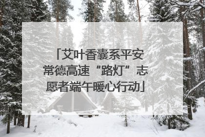 艾叶香囊系平安 常德高速“路灯”志愿者端午暖心行动