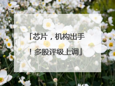 芯片，机构出手！多股评级上调