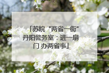 苏皖“两省一街”丹阳警务室：进一扇门 办两省事