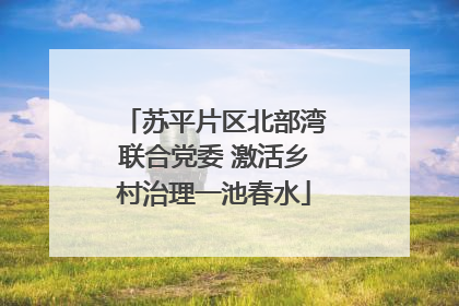 苏平片区北部湾联合党委 激活乡村治理一池春水