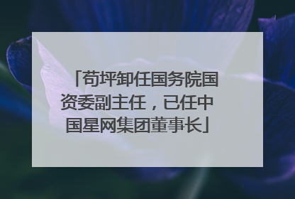 苟坪卸任国务院国资委副主任，已任中国星网集团董事长