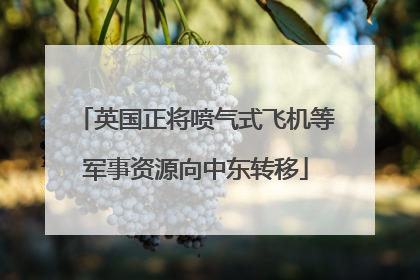 英国正将喷气式飞机等军事资源向中东转移