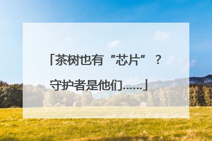 茶树也有“芯片”？守护者是他们……