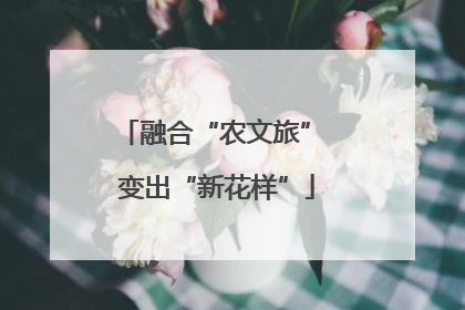 融合“农文旅” 变出“新花样”