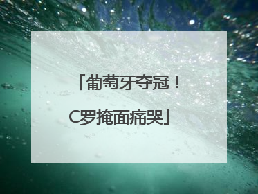 葡萄牙夺冠！C罗掩面痛哭