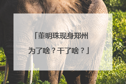 董明珠现身郑州 为了啥？干了啥？