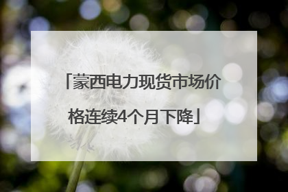 蒙西电力现货市场价格连续4个月下降