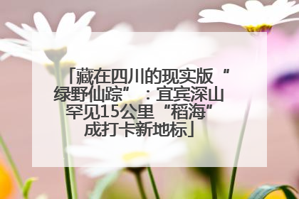 藏在四川的现实版“绿野仙踪”：宜宾深山罕见15公里“稻海”成打卡新地标