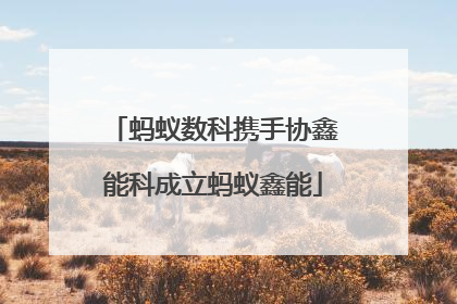 蚂蚁数科携手协鑫能科成立蚂蚁鑫能