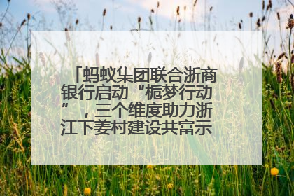蚂蚁集团联合浙商银行启动“栀梦行动”，三个维度助力浙江下姜村建设共富示范区示范点