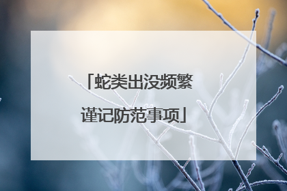 蛇类出没频繁 谨记防范事项