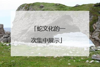 蛇文化的一次集中展示