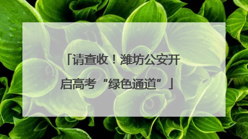 请查收！潍坊公安开启高考“绿色通道”