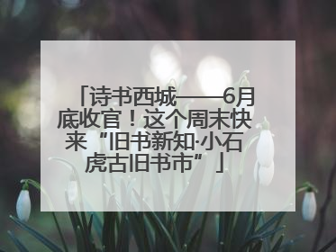 诗书西城——6月底收官！这个周末快来“旧书新知·小石虎古旧书市”