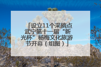 设立11个采摘点 武宁第十一届“新光杯”杨梅文化旅游节开幕（组图）