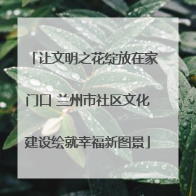 让文明之花绽放在家门口 兰州市社区文化建设绘就幸福新图景