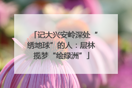 记大兴安岭深处“绣地球”的人：层林揽梦“绘绿洲”