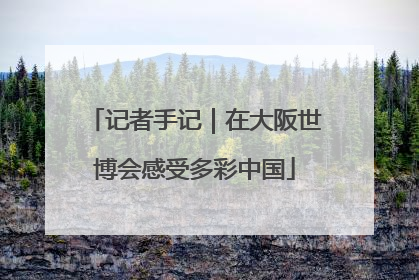 记者手记｜在大阪世博会感受多彩中国