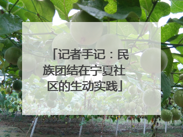 记者手记：民族团结在宁夏社区的生动实践