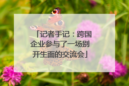 记者手记：跨国企业参与了一场别开生面的交流会