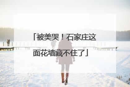被美哭！石家庄这面花墙藏不住了