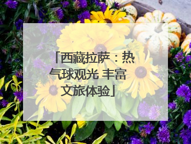西藏拉萨：热气球观光 丰富文旅体验