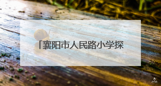襄阳市人民路小学探秘襄阳博物馆：穿越千年触摸历史脉搏