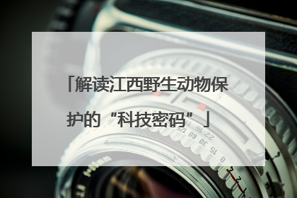 解读江西野生动物保护的“科技密码”
