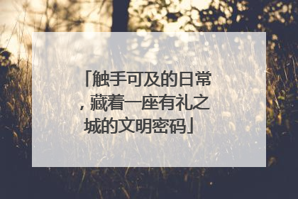 触手可及的日常，藏着一座有礼之城的文明密码