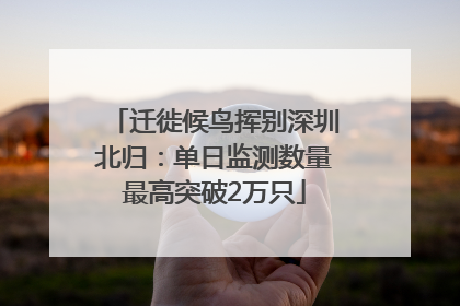 迁徙候鸟挥别深圳北归：单日监测数量最高突破2万只