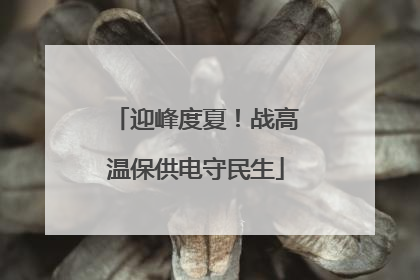 迎峰度夏！战高温保供电守民生