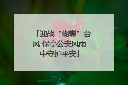 迎战“蝴蝶”台风 保亭公安风雨中守护平安