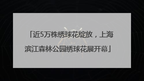 近5万株绣球花绽放，上海滨江森林公园绣球花展开幕