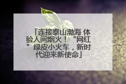 连接泰山渤海 体验人间烟火！“网红”绿皮小火车，新时代迎来新使命