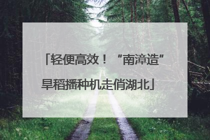 轻便高效！“南漳造”旱稻播种机走俏湖北
