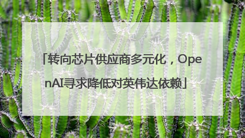 转向芯片供应商多元化，OpenAI寻求降低对英伟达依赖