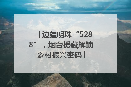 边疆明珠“5288”，烟台援藏解锁乡村振兴密码
