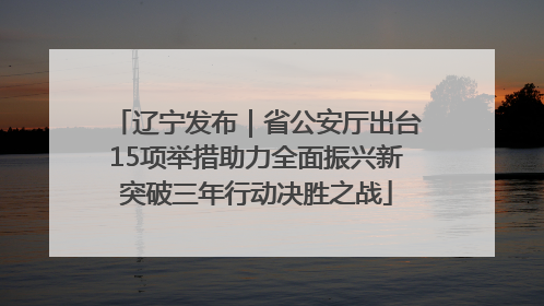 辽宁发布｜省公安厅出台15项举措助力全面振兴新突破三年行动决胜之战