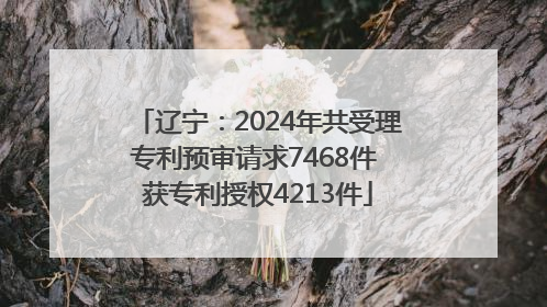辽宁：2024年共受理专利预审请求7468件 获专利授权4213件